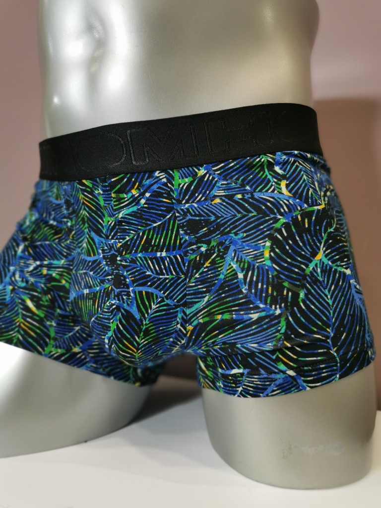 Boxer HOM Jarrod Blue print  402698