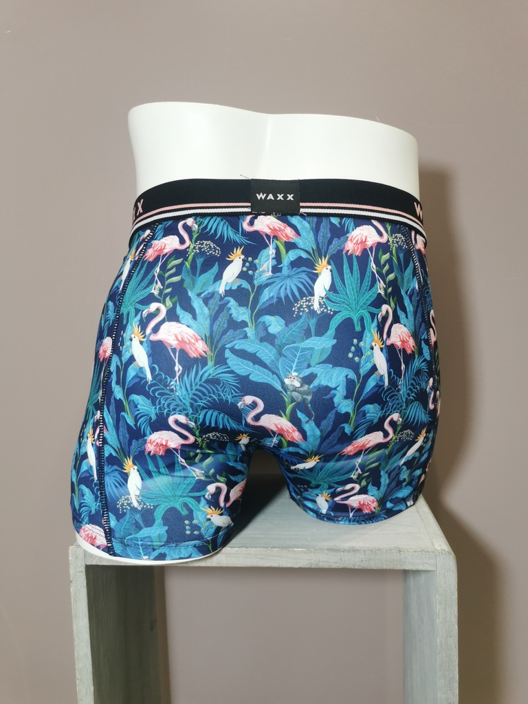 Boxer Waxx Flamingo 11351 bleu marine rose 