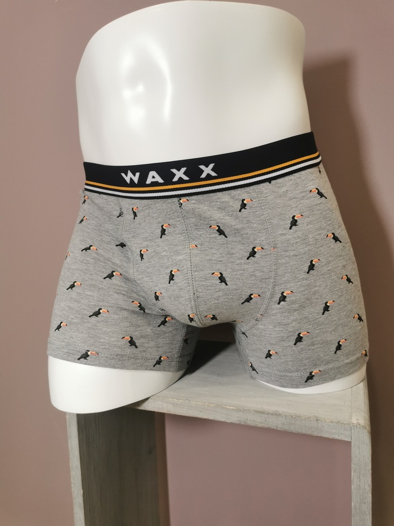 Boxer Waxx Pelican 11705 gris 